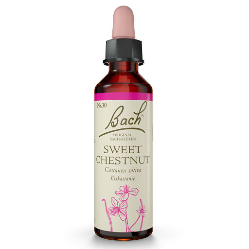 BACHBLÜTEN Sweet Chestnut Tropfen 20 ml